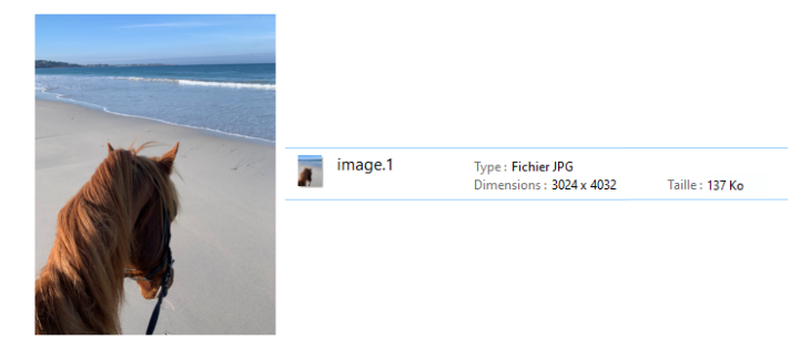 Optimisation des images, format WEBP : étape 1 Choisir une image